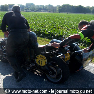 Dark Dog Tour 2008