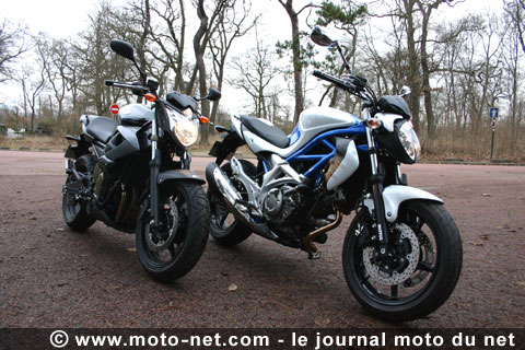 Bataille des sens : le dernier bicylindre Suzuki affronte la récente XJ6 ! 