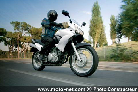 Les Honda SH125i et SH300i et XL125 Varadéro en voient de toutes les couleurs !