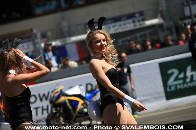 24H Motos 2015 - Galerie photos 03 : sexy girls