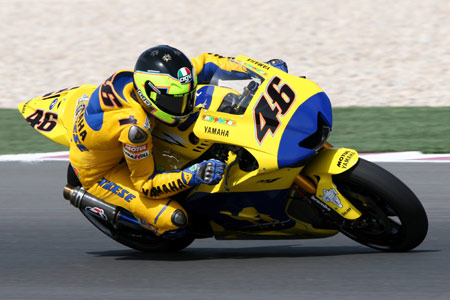 Les Camel rois du désert