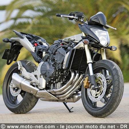 Test Honda Hornet 600 : La Hornet piquée au vif !