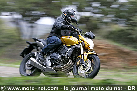 Test Honda Hornet 600 : La Hornet piquée au vif !