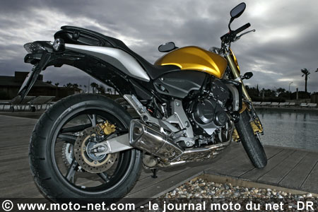 Test Honda Hornet 600 : La Hornet piquée au vif !