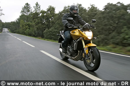 Test Honda Hornet 600 : La Hornet piquée au vif !