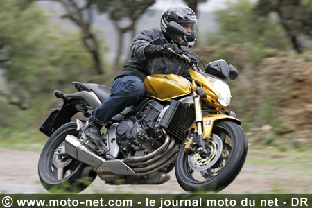 Test Honda Hornet 600 : La Hornet piquée au vif !