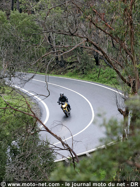 Test Honda Hornet 600 : La Hornet piquée au vif !