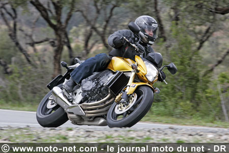 Test Honda Hornet 600 : La Hornet piquée au vif !