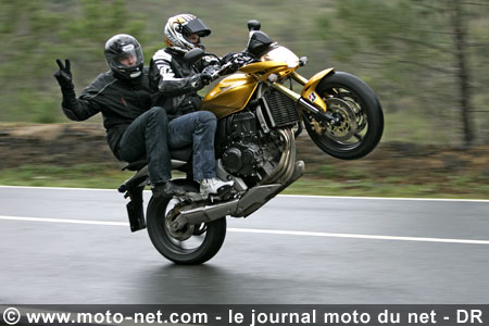 Test Honda Hornet 600 : La Hornet piquée au vif !