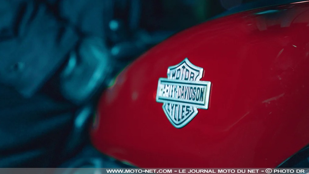 Retour aux sources et au Sportster chez Harley-Davidson