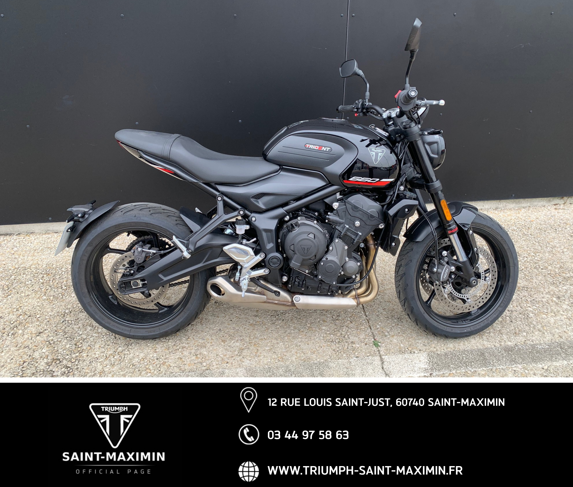 TRIUMPH 660 TRIDENT 660