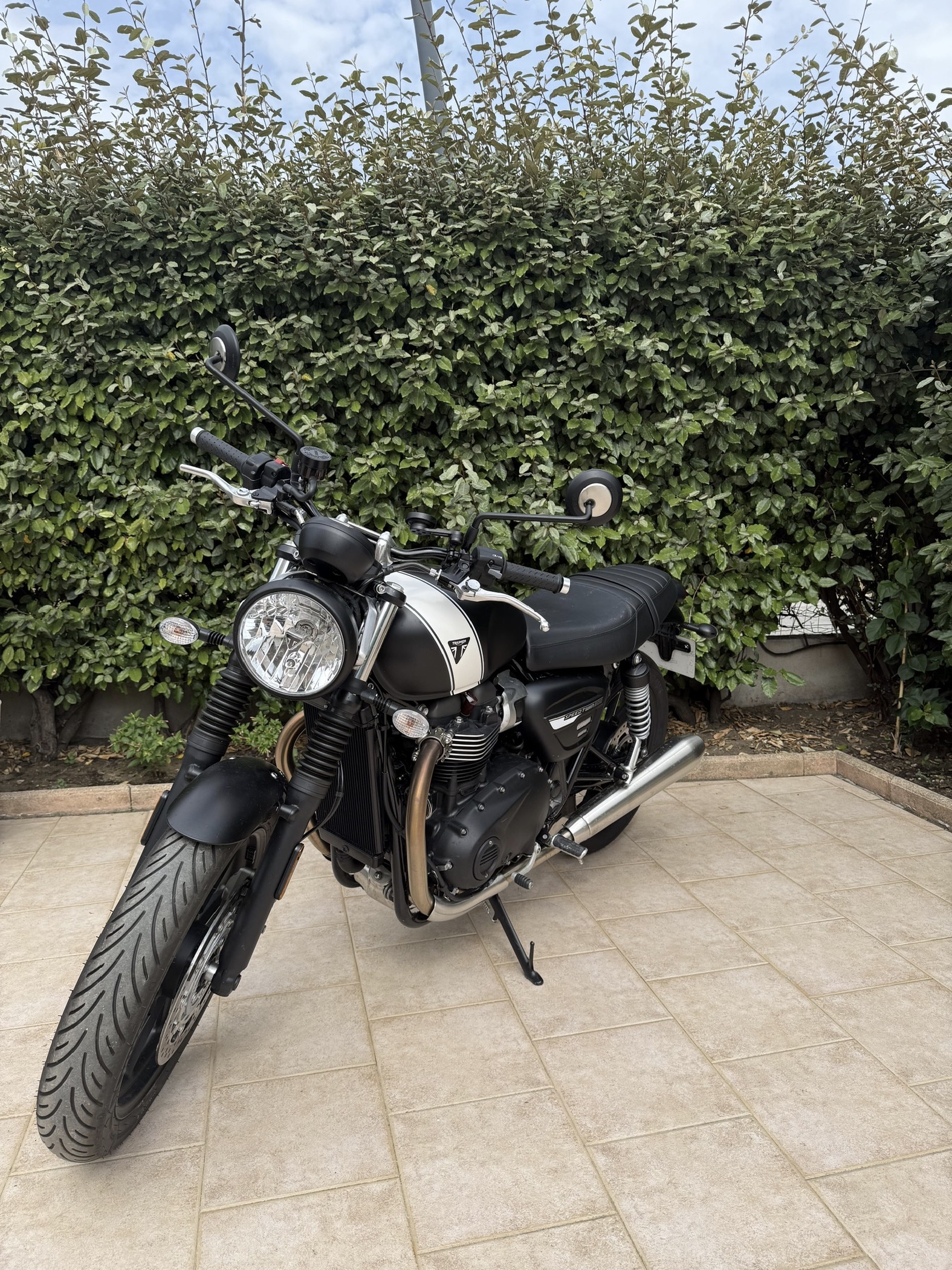 Triumph Speed Twin 900, coloris Matt Phantom Black / Matt Cristal White