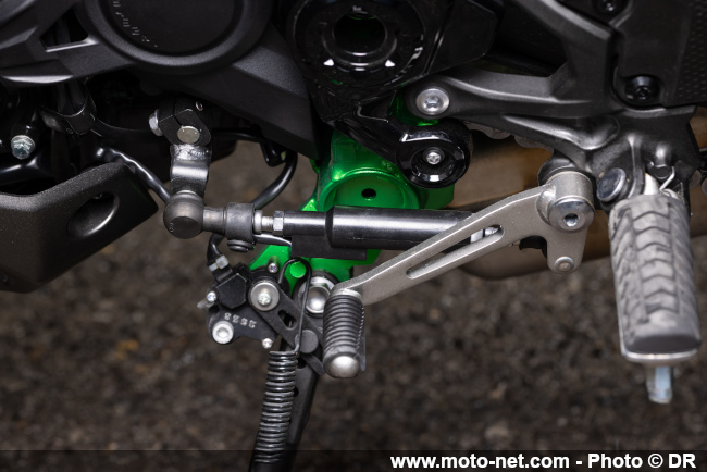 Essai Z900 2025 : Kawasaki met à jour son best-zeller ! 