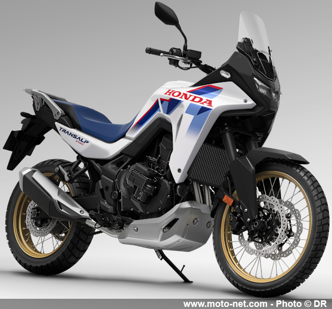 Les Hornet 750 et Transalp prennent l'option E-Clutch en 2026 