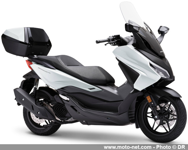 Nouveaux coloris 2026 et Special Edition des Honda Forza 125 et 350 